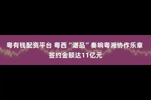 粤有钱配资平台 粤西“湛品”奏响粤湘协作乐章 签约金额达11亿元